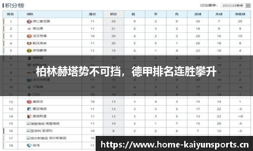 开云体育官网