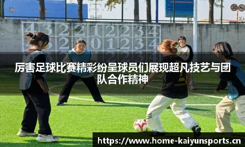 开云体育平台