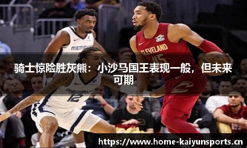 开云体育官网