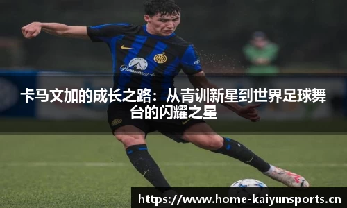 开云体育官网